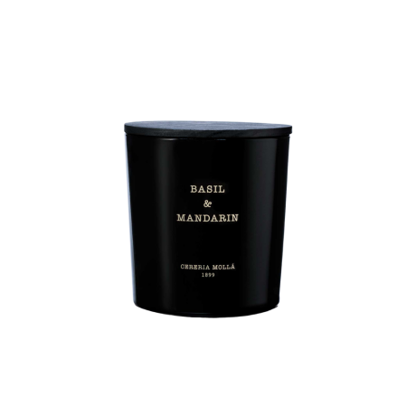 Cereria Molla Premium küünal XL Basil & Mandarín 600g		